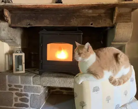 débistrage à Saint Domineuc - image 4