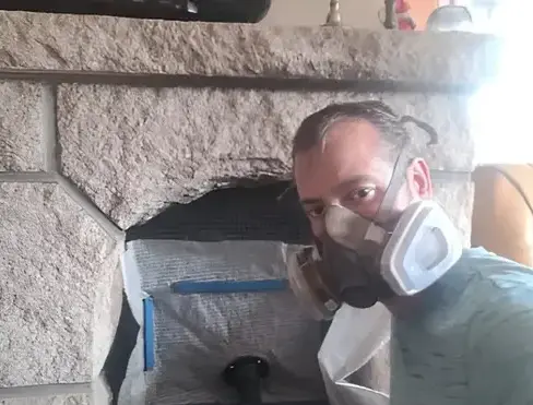 débistrage Saint Domineuc-5