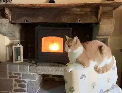 débistrage à Saint Thual - image 4