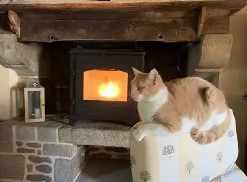 débistrage Tinténiac-5