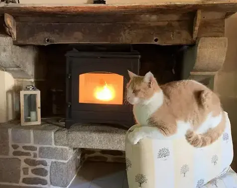 démoussage toiture à Saint Domineuc - image 4