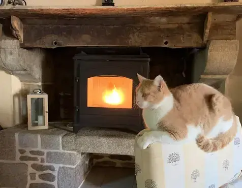 démoussage toiture Saint Thual-1