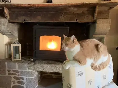 entretien cheminée à Plouasne - image 4