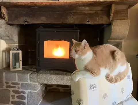 entretien cheminée Saint Domineuc-1