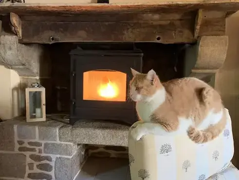 entretien cheminée à Saint Juvat - image 4