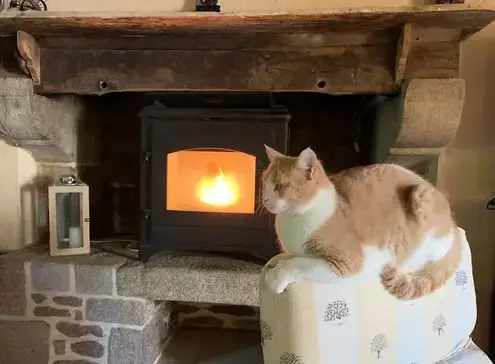 entretien poêle à granulés Saint Juvat-1