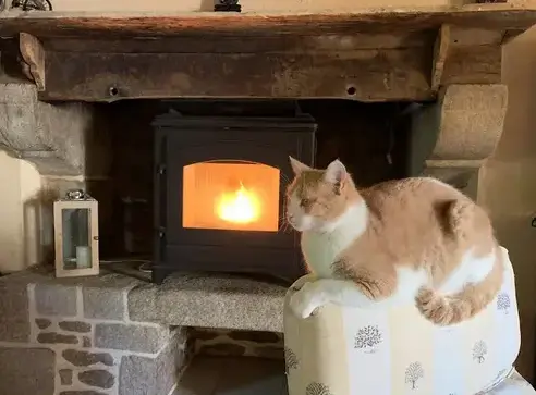 nettoyage toiture à Saint Thual - image 2