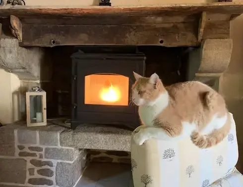 pose insert cheminée Saint Domineuc-5