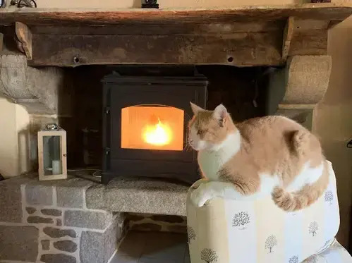 pose insert cheminée à Saint Juvat - image 2