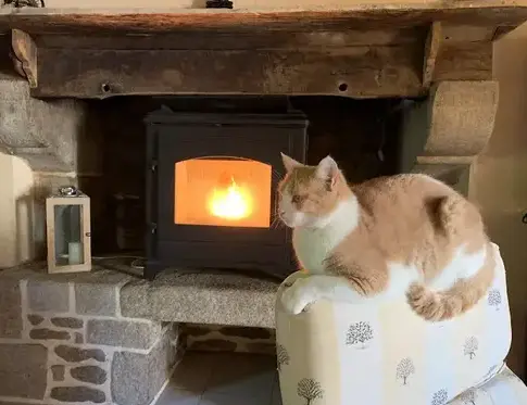 pose insert cheminée à Saint Thual - image 3