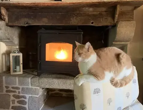 ramoneur à Saint Juvat - image 2