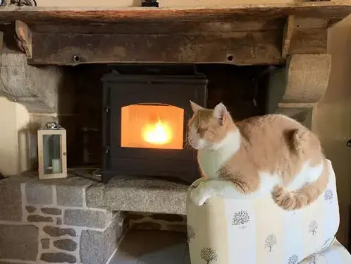 ramoneur Saint Thual-1